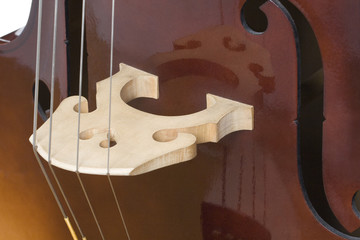 Detail of Double Bass