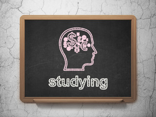 Education concept: Head With Finance Symbol and Studying on