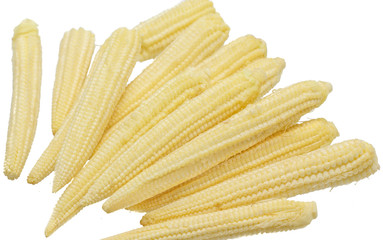 Baby Corn