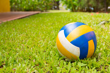 Sport ball over the grass
