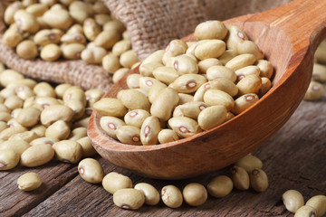 Raw yellow kidney beans close up in a wooden spoon
