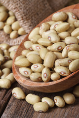 Dry yellow kidney beans in a wooden spoon macro