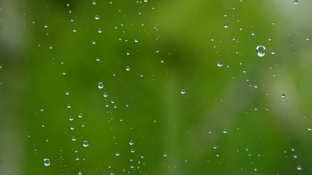 Raindrops on the window and rain