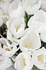 White tulips.