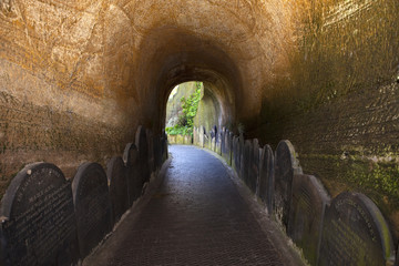 A Walkway in St. James Cemetery