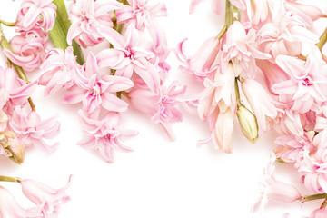 Fototapeta na wymiar gentle yellow pink hyacinths