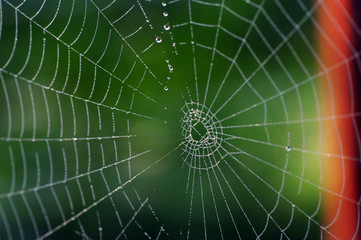 Obraz premium Netzwerk