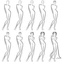 Sequence of creation a beautiful female contour