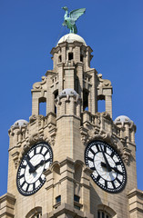 Royal Liver Building in Liverpool