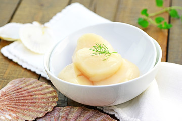 Jakobsmuscheln