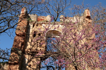 Ruinas Real Monasterio de Santa María de Nogales. León.