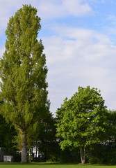 Obraz premium espace vert