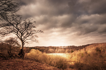 Obraz premium Dramatic landscape of a valley with sunshine shining through dar