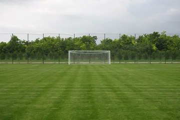 Foto auf Acrylglas Fußball Goal at the stadium Soccer field with white lines