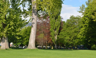 jardin public