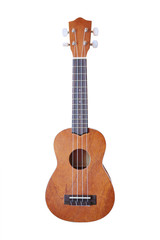 Obraz premium The image of a hawaiian guitar