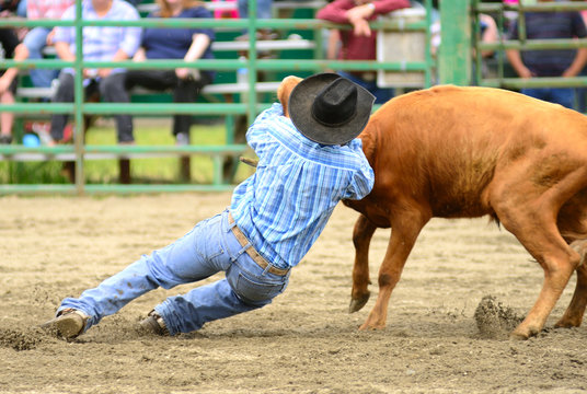 Steer Wrestling