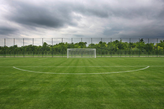 Fototapeta Goal at the stadium Soccer field with white lines