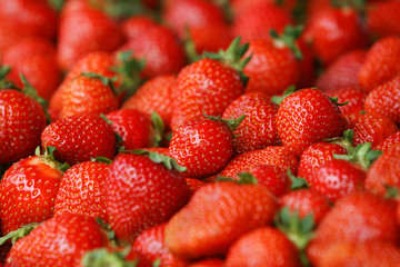Natural juicy strawberries on the street market