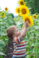 Little boy with sunflower