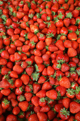 juicy strawberries on the street market