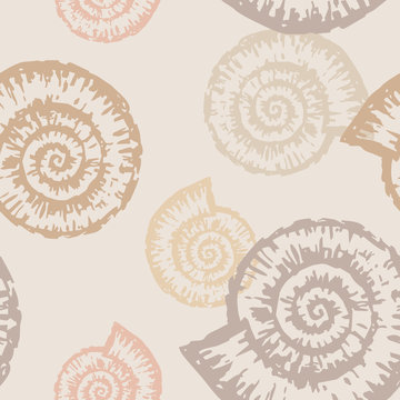 Pattern Of Nautilus