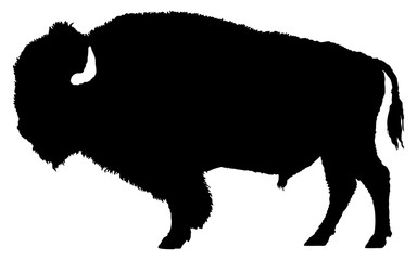 American bison silhouette - obrazy, fototapety, plakaty