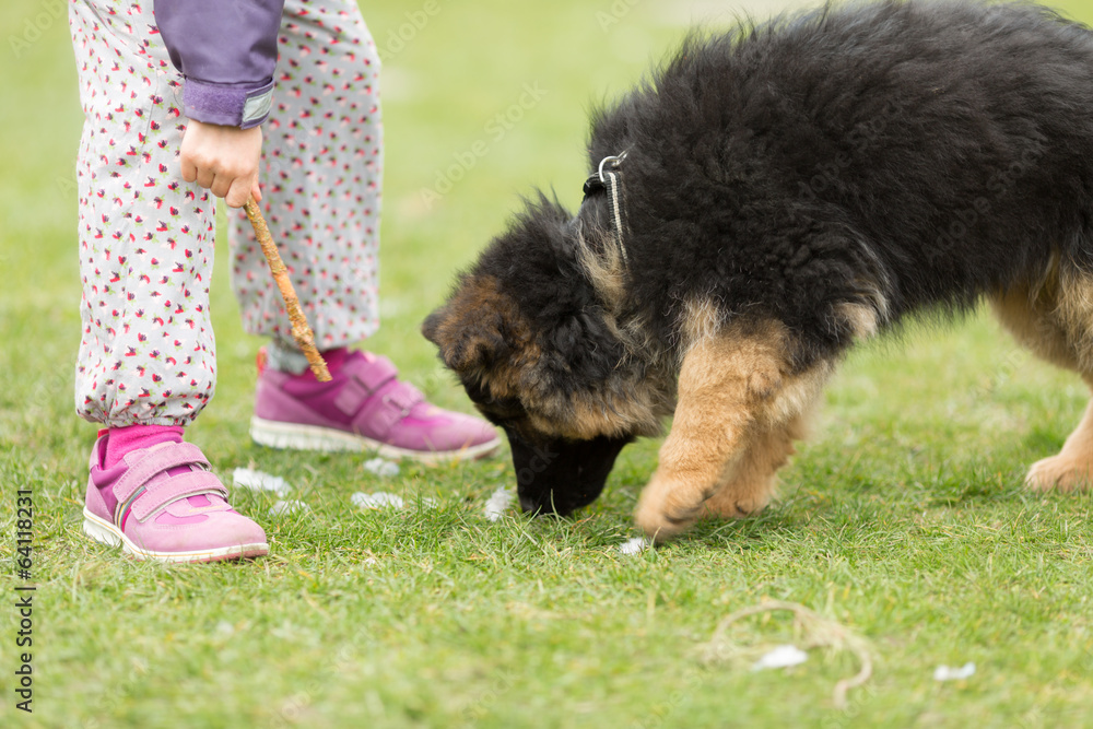 Sticker german shepherd puppy and girl