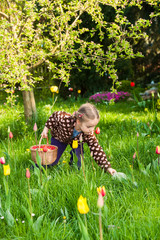 Kleines Mädchen sucht Ostereier auf einer Blumenwiese
