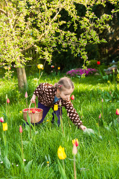 Kleines M&auml;dchen sucht Ostereier auf einer Blumenwiese