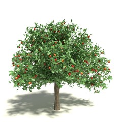 Fototapeta premium 3d illustration of an apple tree