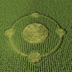 3d illustration of a crop circle