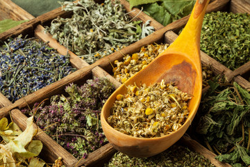 Herbs