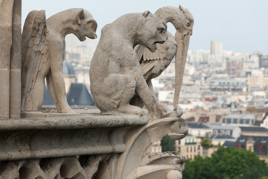 Demon, Dog and Heron Gargoyles of Notre Dame II