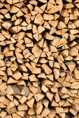 Large beech wood pile