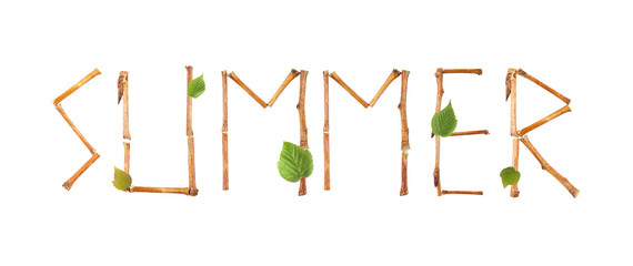 word summer of twigs