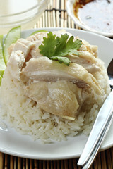 steam chicken with rice on the plate