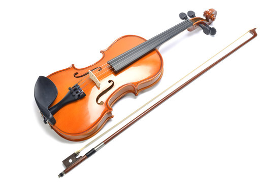 violin