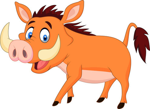 Cartoon Warthog