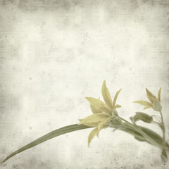 textured old paper background