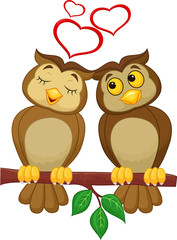 Cute couple cartoon owl  in love