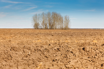 Fototapeta premium plowed rural field