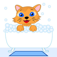 merry kitten bathes in bath