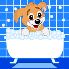 merry dog bathes in bath