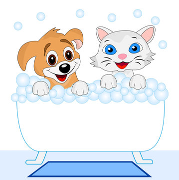 merry kitten and dog bath in bath