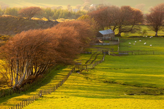 English Countryside Devon Uk