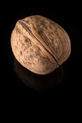 Walnut Fruit