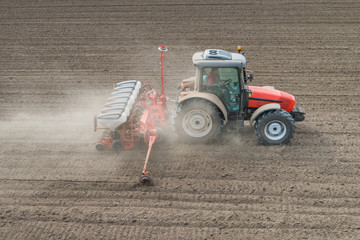 wheat sowing