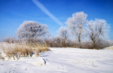 Winter landscape with trees and frozen river