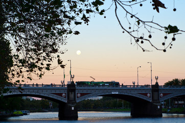 Princes Bridge - Melbourne © Rafael Ben-Ari